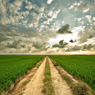 Open land and a road through a rural landscape