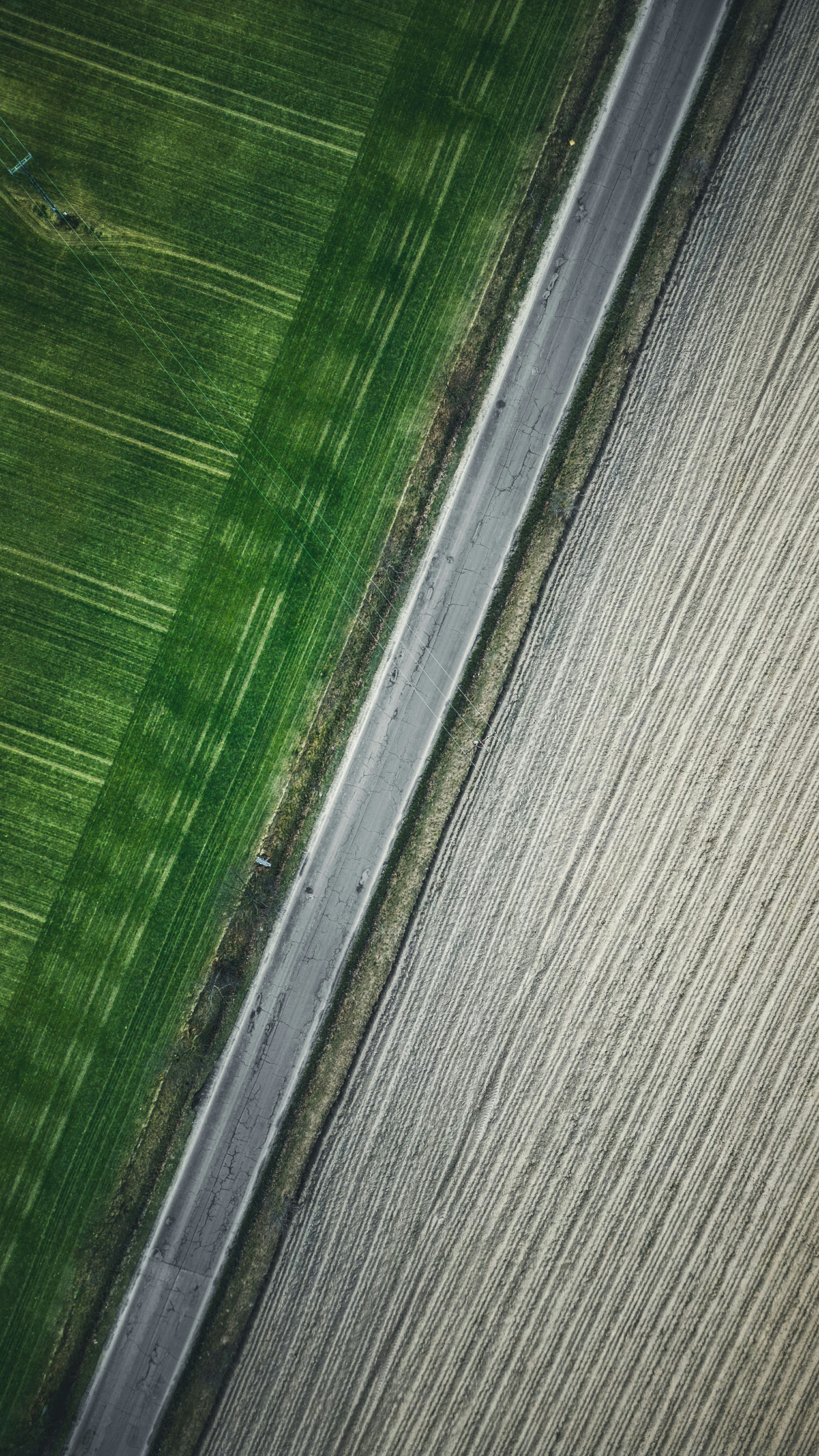 Road dividing green and harvested fields