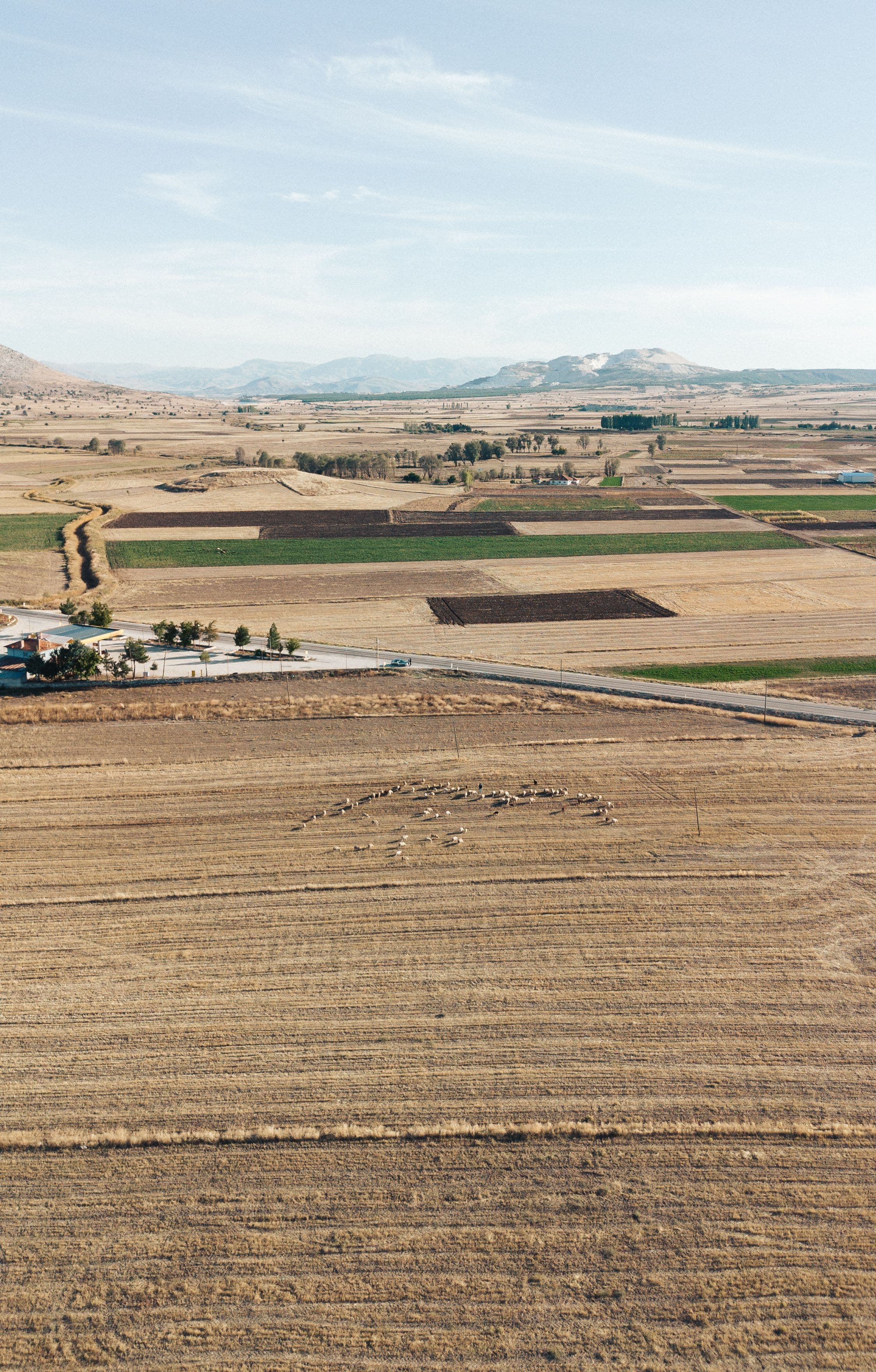 Aerial cultivated fields and distant hills; illustrative scene