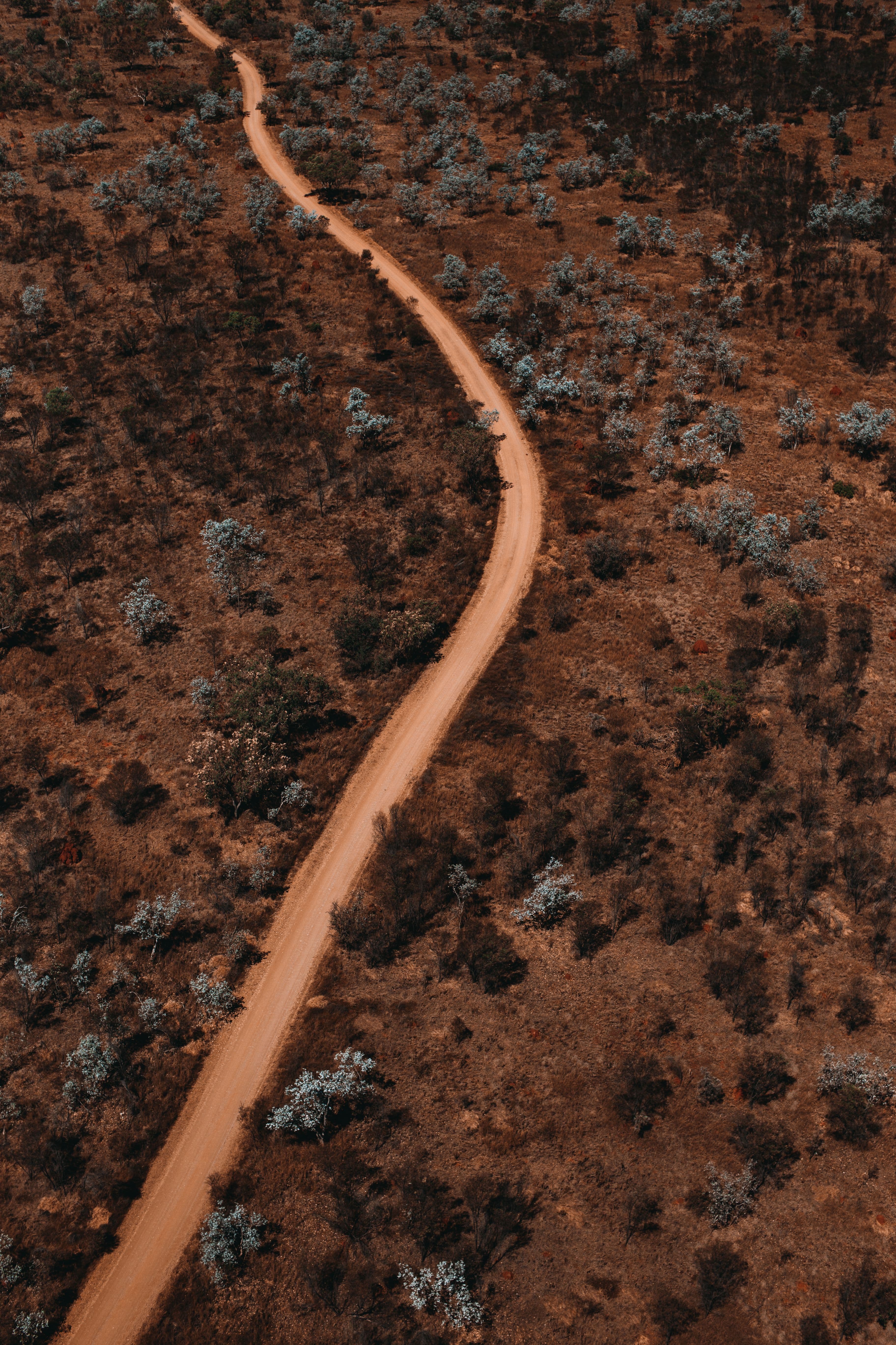 An unpaved road winding through dry rural land.