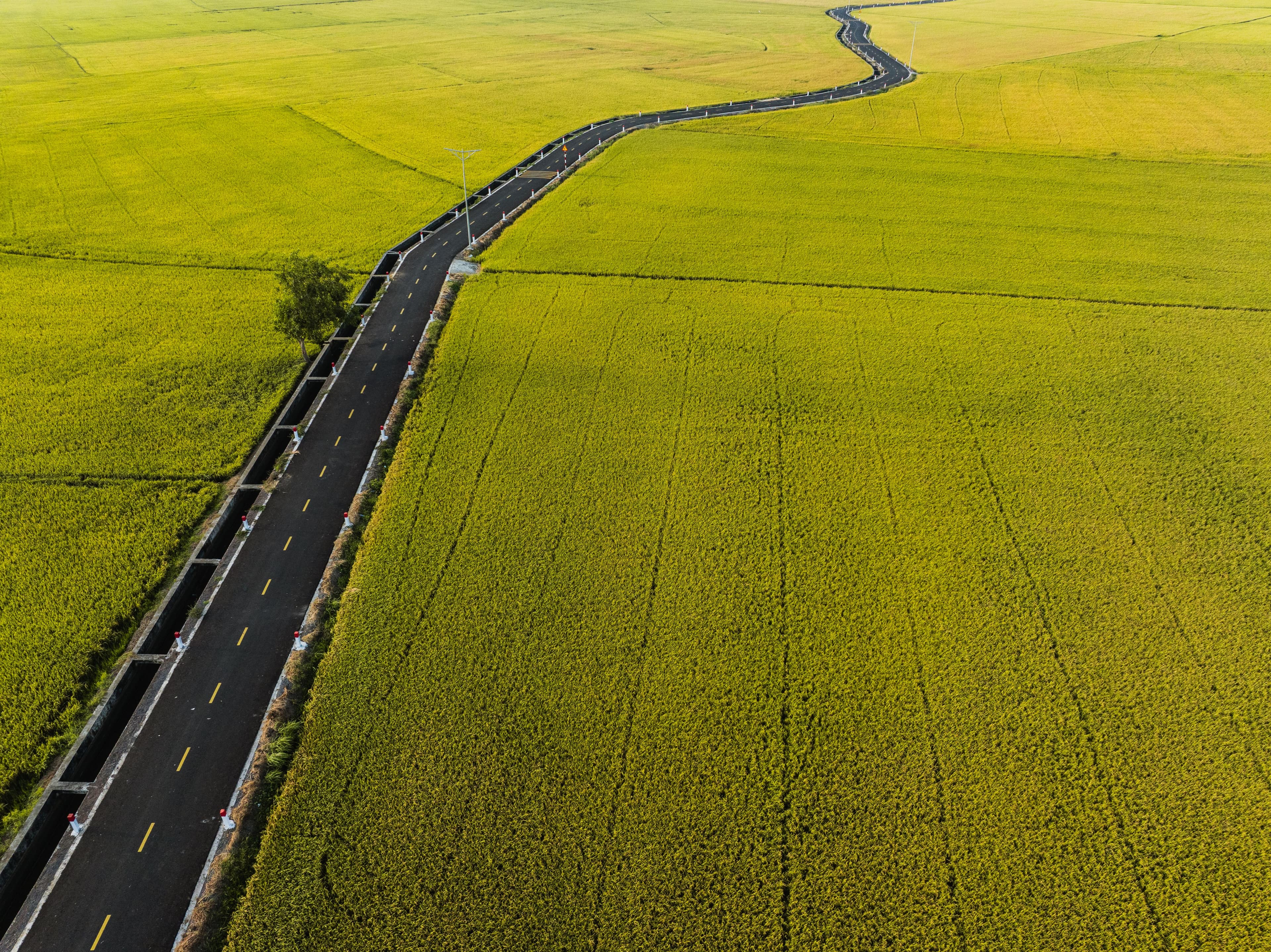 Aerial photograph of agricultural fields and a rural road across open land.